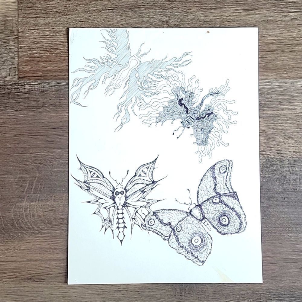 Original pen and ink doodle art butterflies by David Ohler